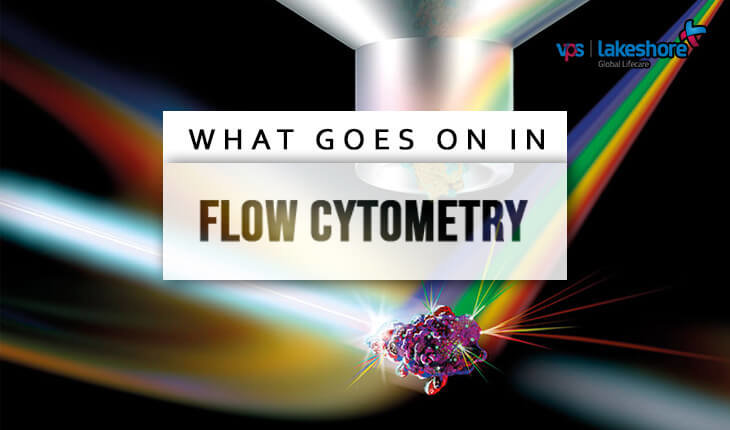 What Goes On in Flow Cytometry?