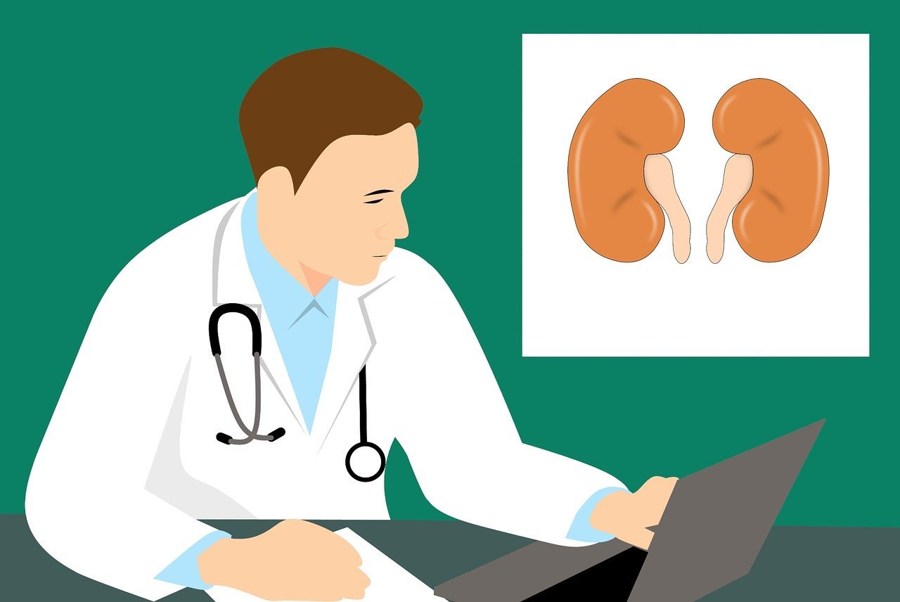 What is Renal biopsy ?