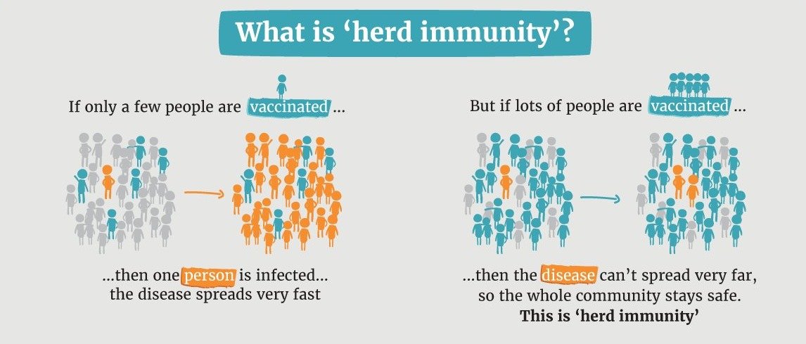 What is Herd Immunity and can we really achieve it with CoronaVirus?
